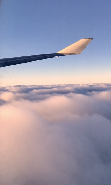 C446688A-37CB-415F-BDD1-C718613D14C3